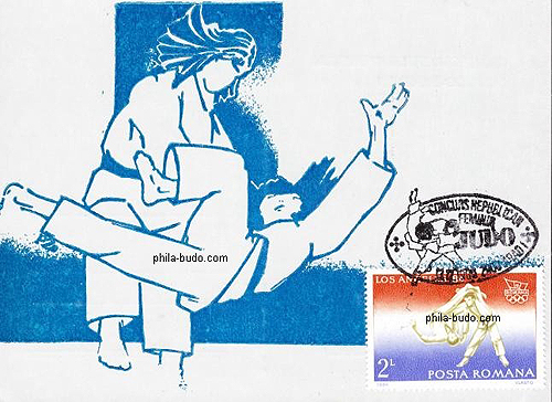 judo
