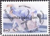 judo