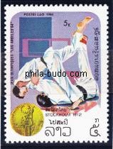 judo