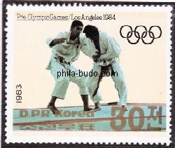 judo