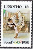 judo