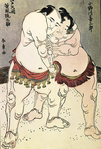 sumo